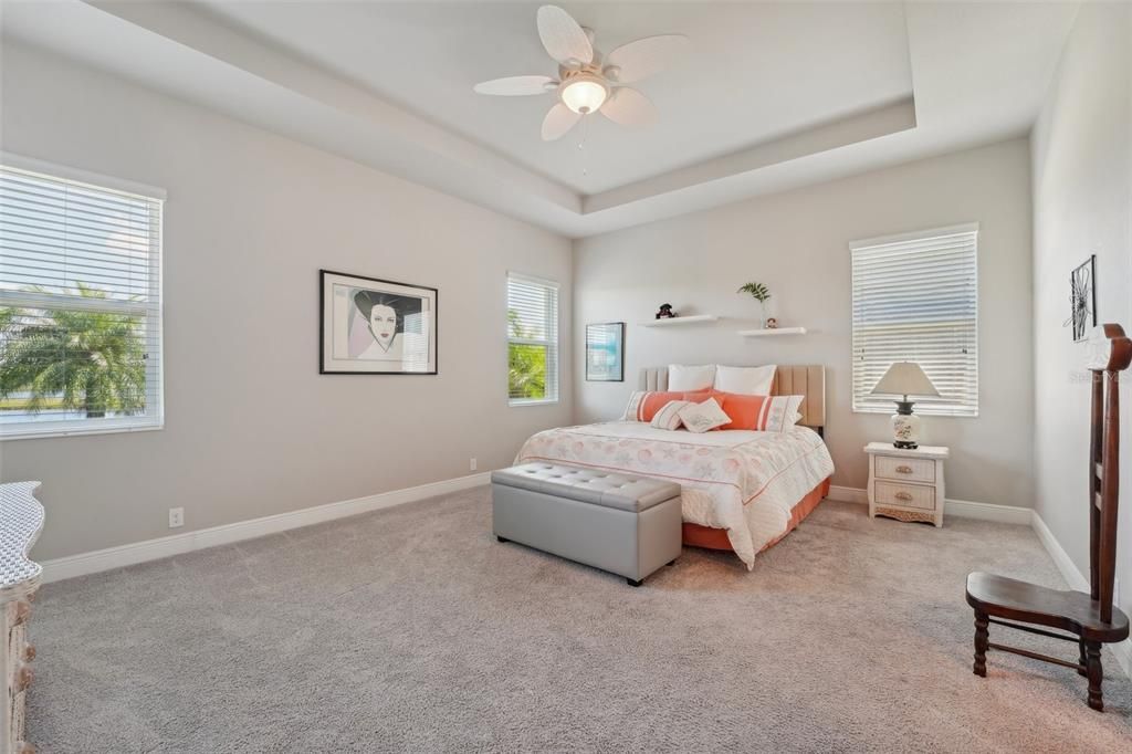 Primary master bedroom with tray ceiling and lots of windows