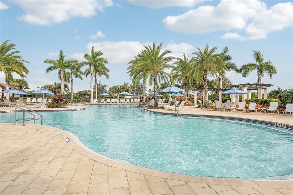 Resort Style Pool with Swim Lanes