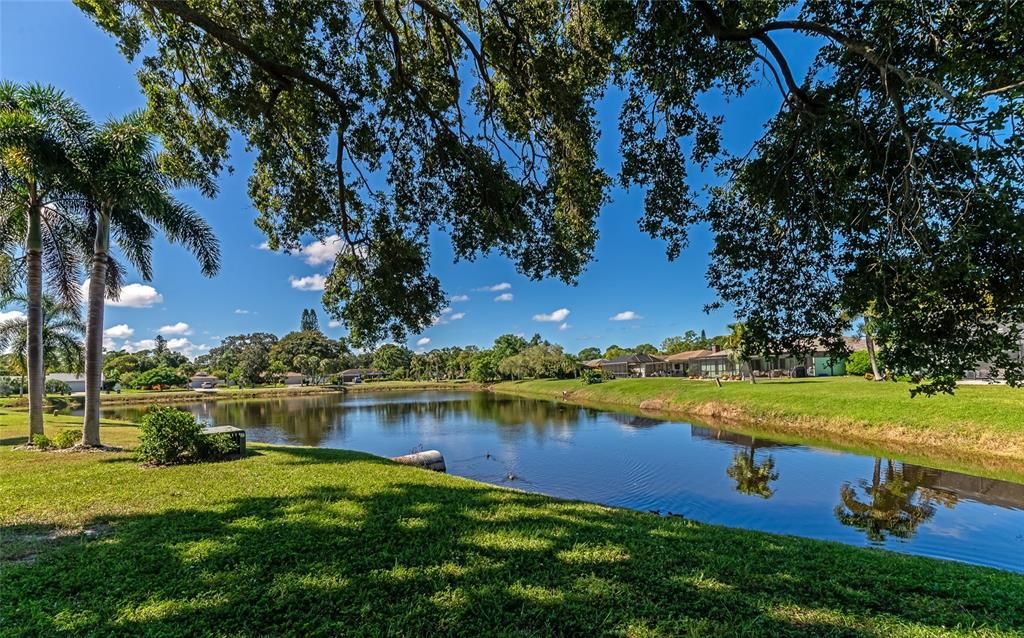 View of lake looking left from the lanai