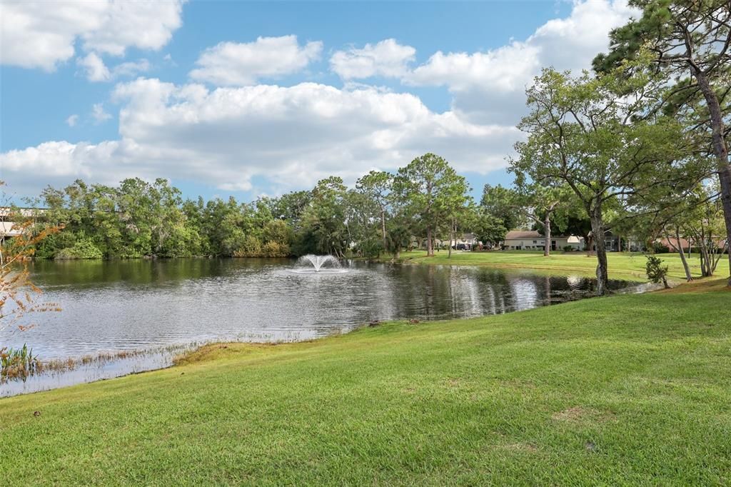 The central location gives you easy access to shopping, dining, area parks, lakes and more and the low HOA makes this an ideal first home or investment property, plus it comes with assigned parking.