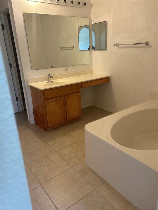 Primary Bathroom Soaking Tub