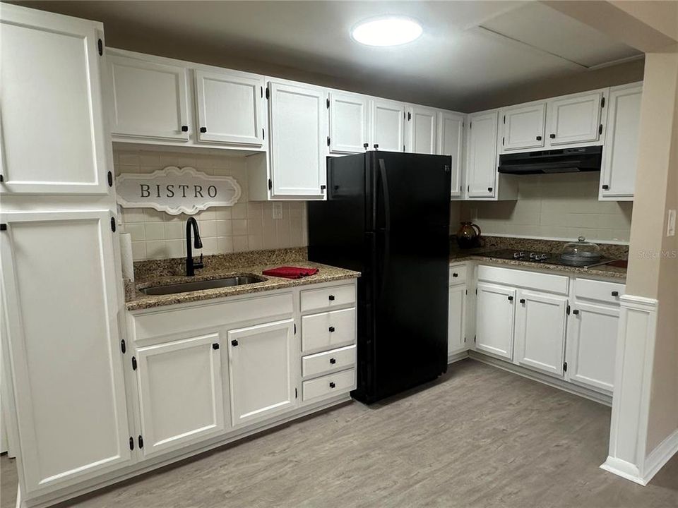 In-Law Suite Kitchen