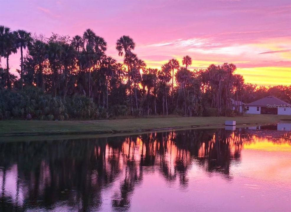 Your backyard offers a serene escape that feels like a permanent vacation. With such tranquil surroundings, it’s impossible to feel anything but uplifted in this home!