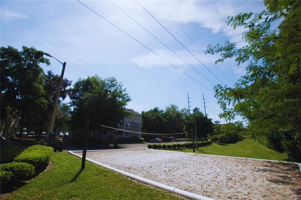 Volleyball Court