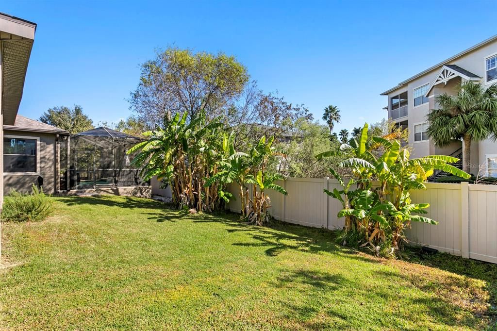 Tropical backyard landscaping