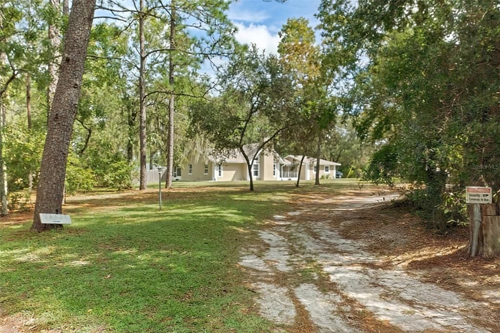 Driveway to the home