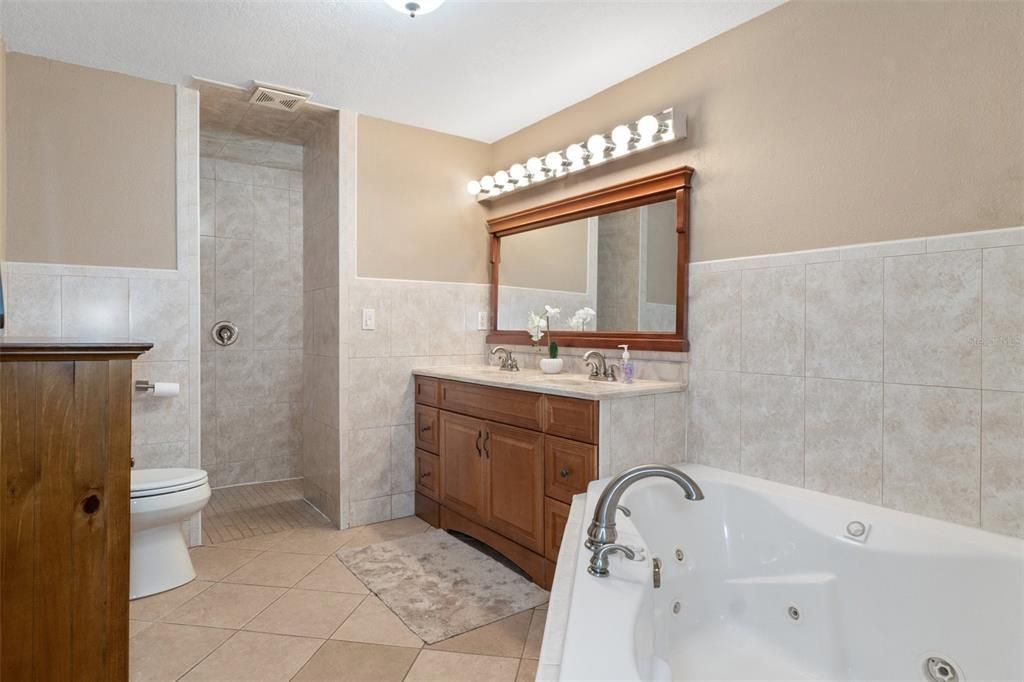 Beautiful Master Bathroom