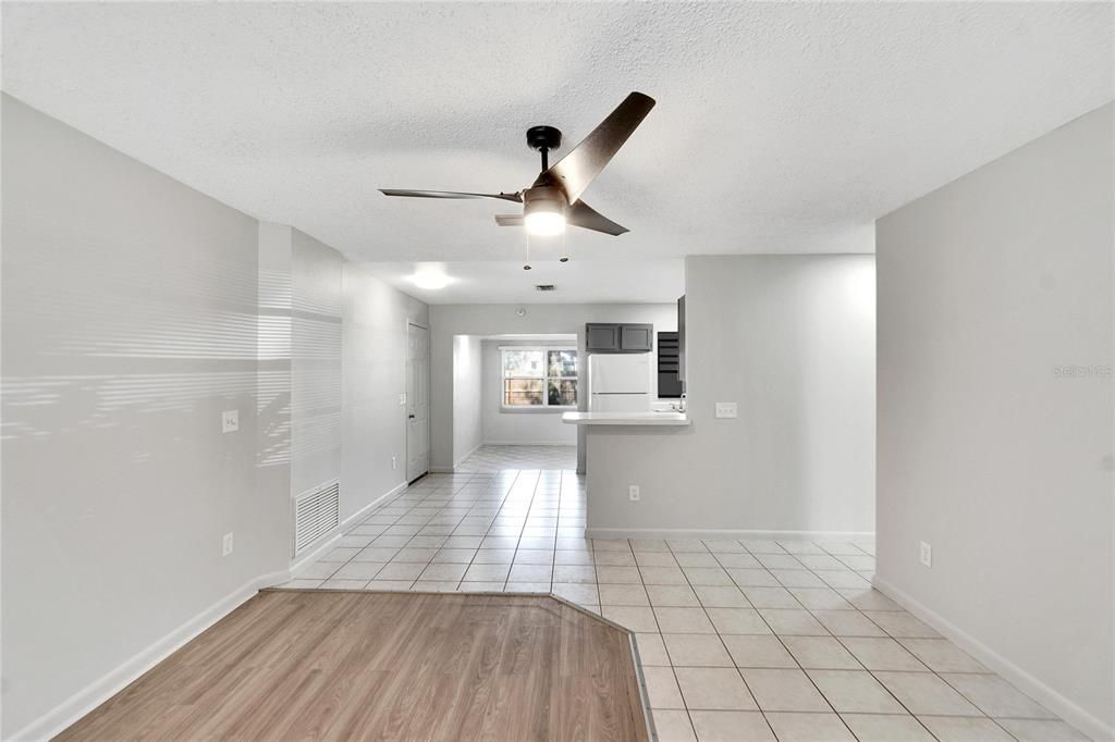 Living Room and Kitchen Area