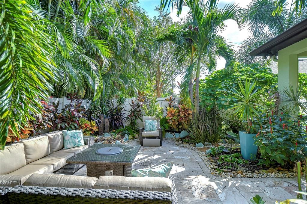 Tropical oasis!