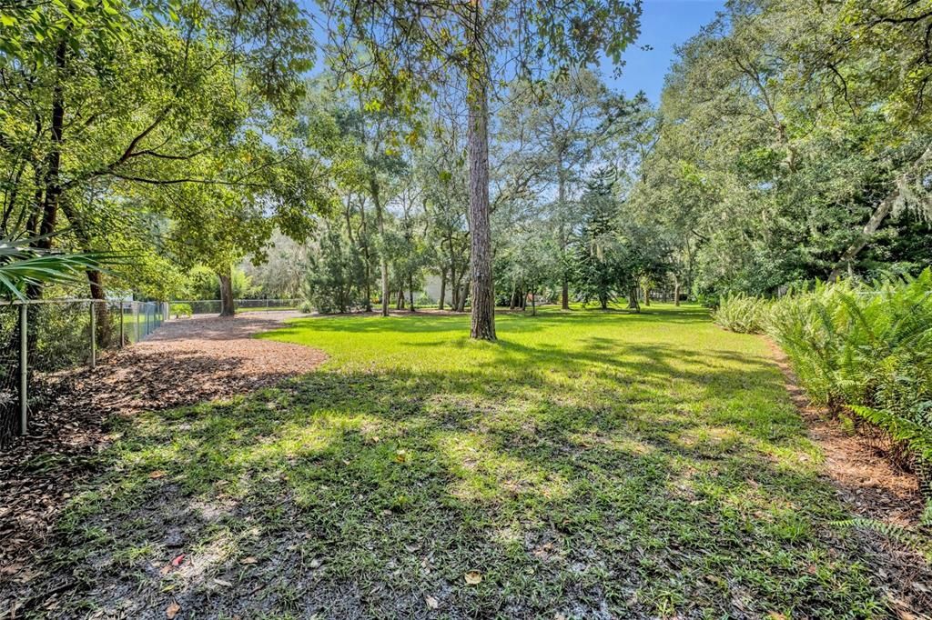 Fenced Backyard For The Kids And/Or Pets!