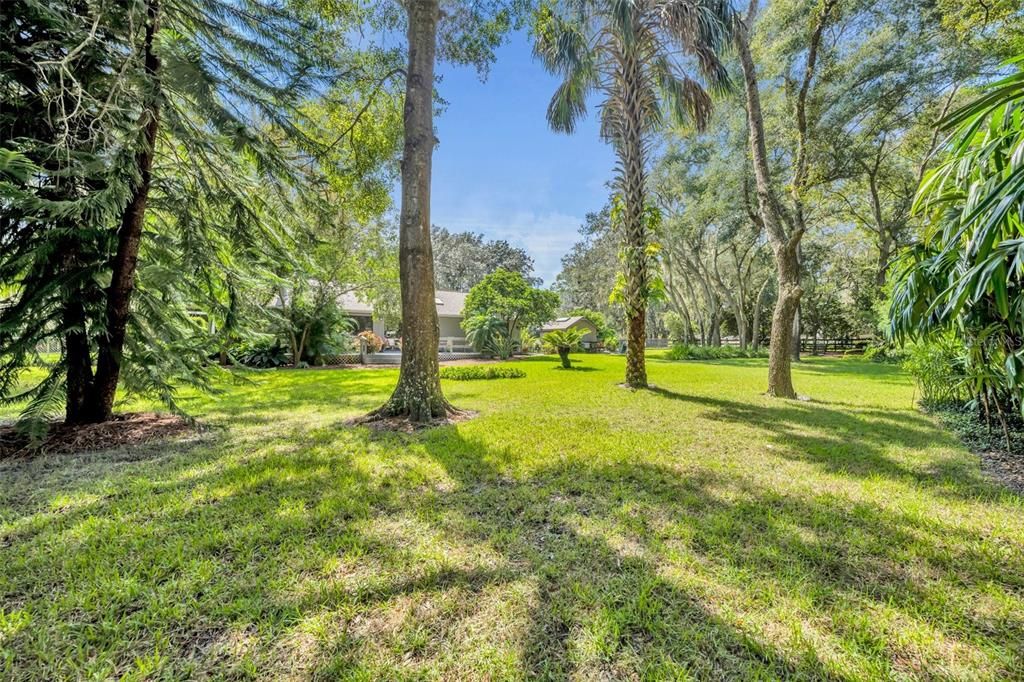 Beautiful Backyard From All Angles