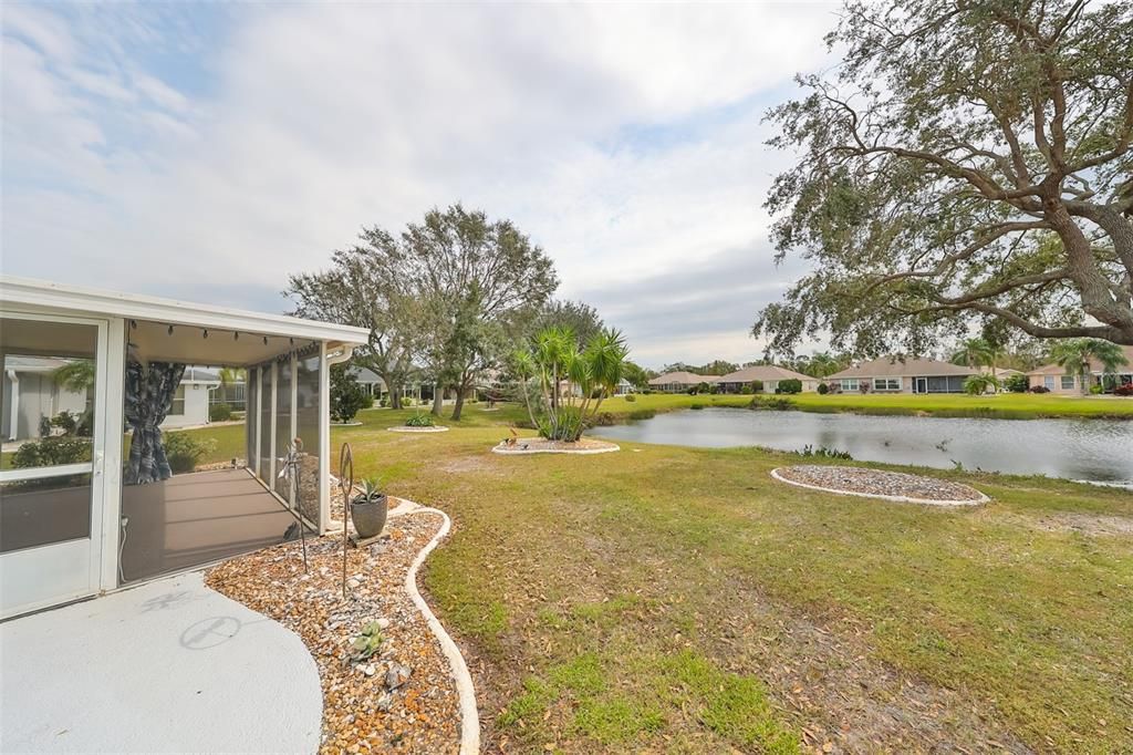 View of the backyard.