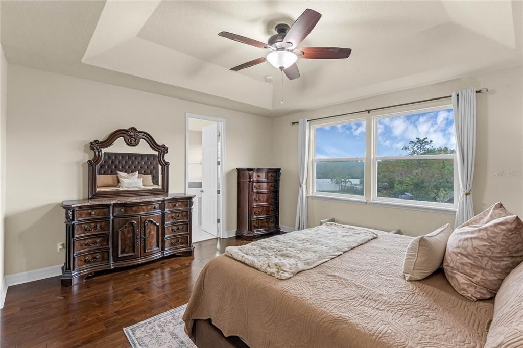 There is a decorative tray ceiling, large WALK-IN CLOSET and well appointed en-suite bath.