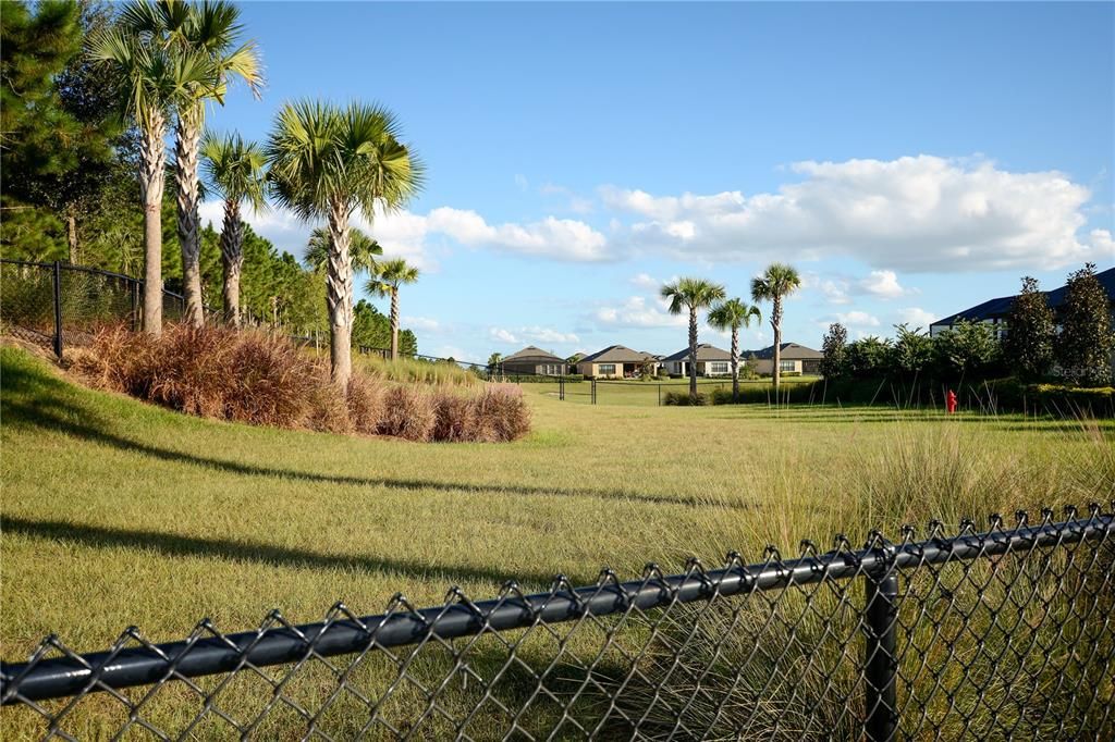 The Esplanade at Highland Ranch Dog Park where our furry family members can have fun with their friends too