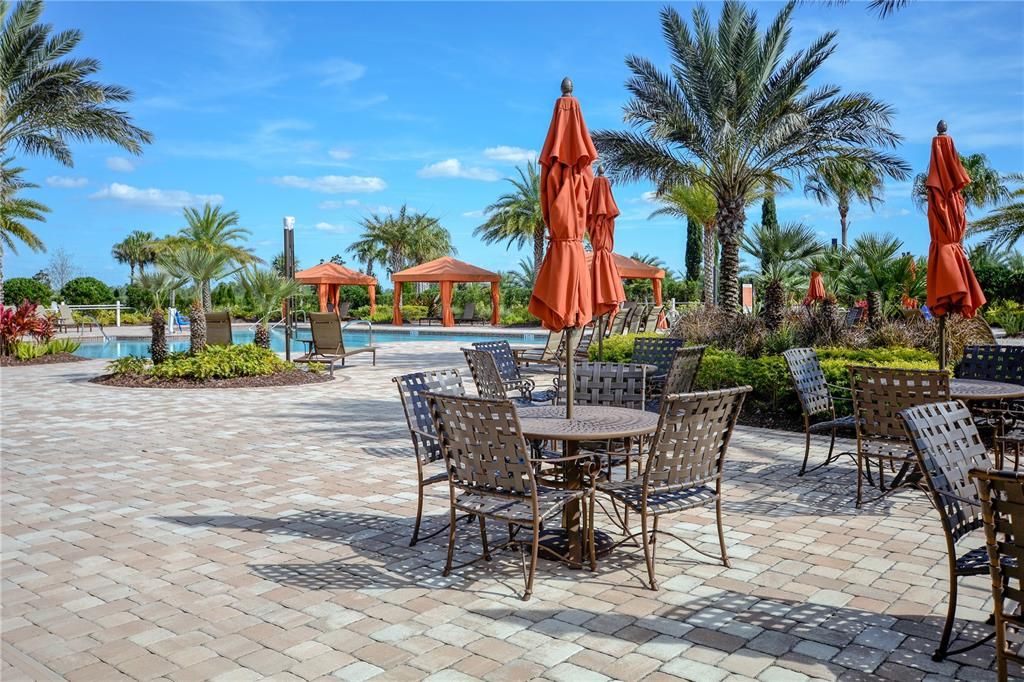 Lush Landscaping on the Pool Deck