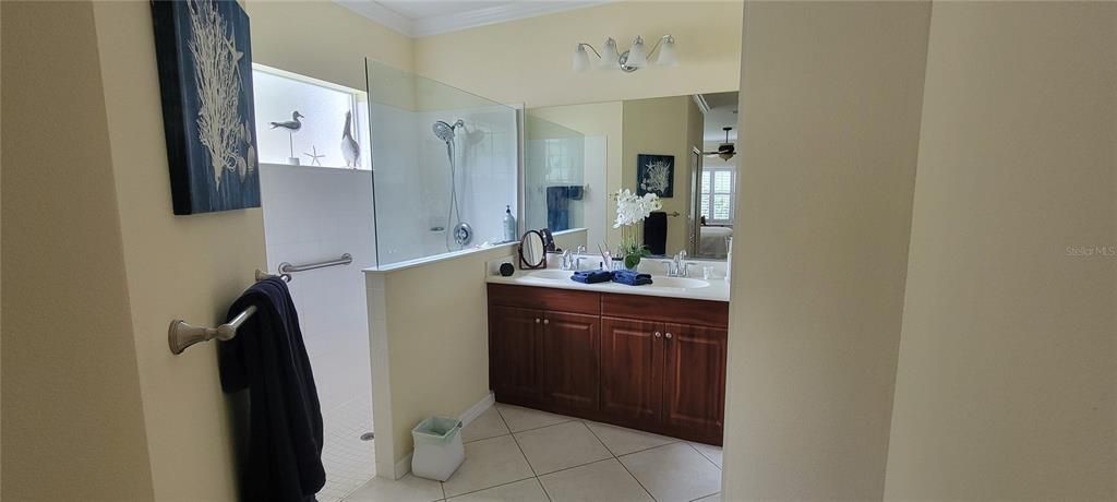 Primary en-suite hall has 2 closets, and walk-in tub with separate private toilet room