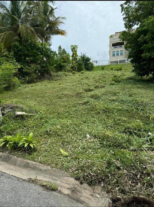 Monte Carlo 230, Palmas del Mar, Puerto Rico