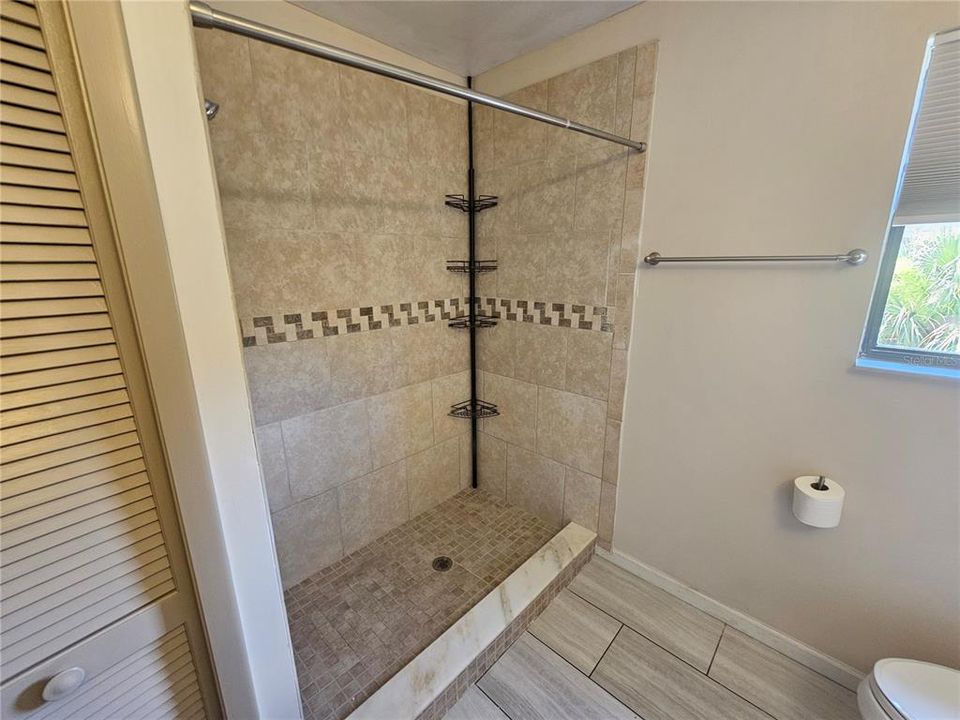 Master's Bathroom Shower