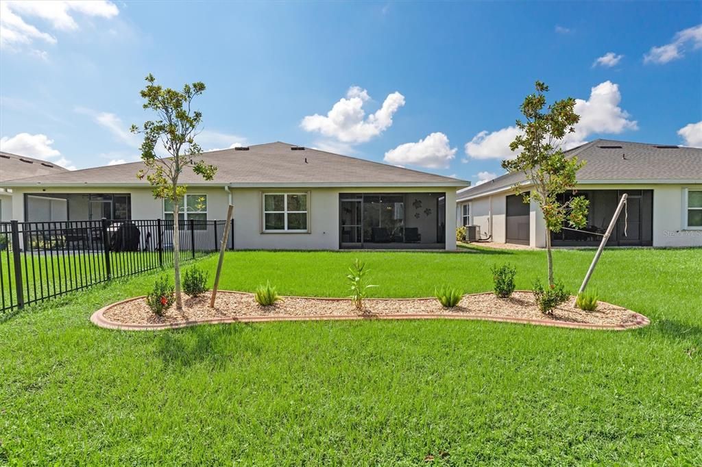 Backyard - room for a pool or extend the lanai