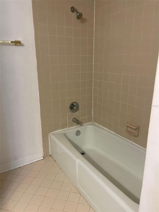 PRIMARY TUB &        SHOWER