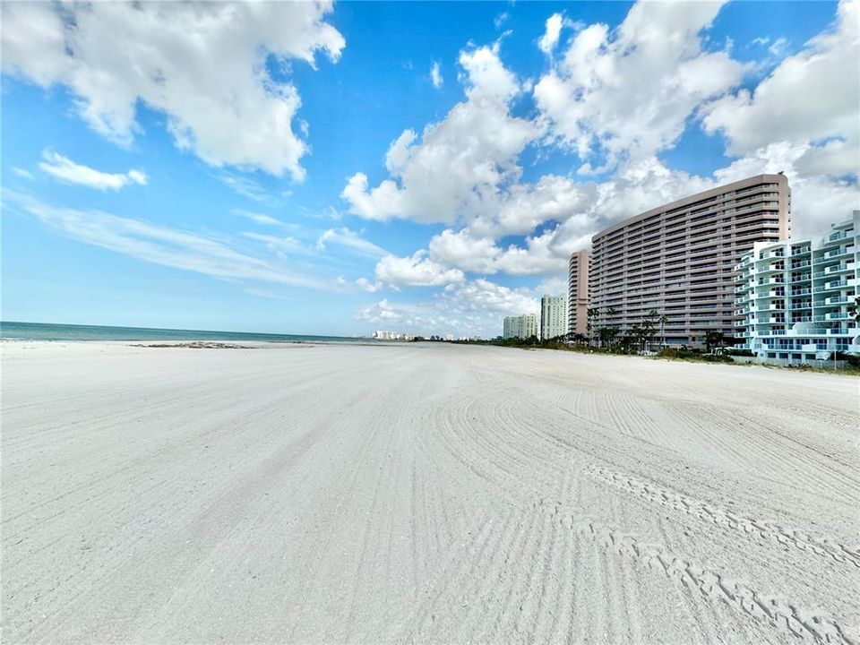 Beachfront Sand Key Club October 12,2024