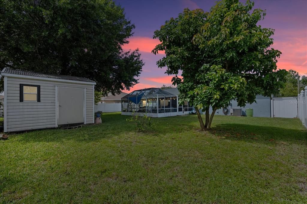 Backyard w/ Huge Shed!