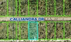 For Sale: $13,900 (0.50 acres)