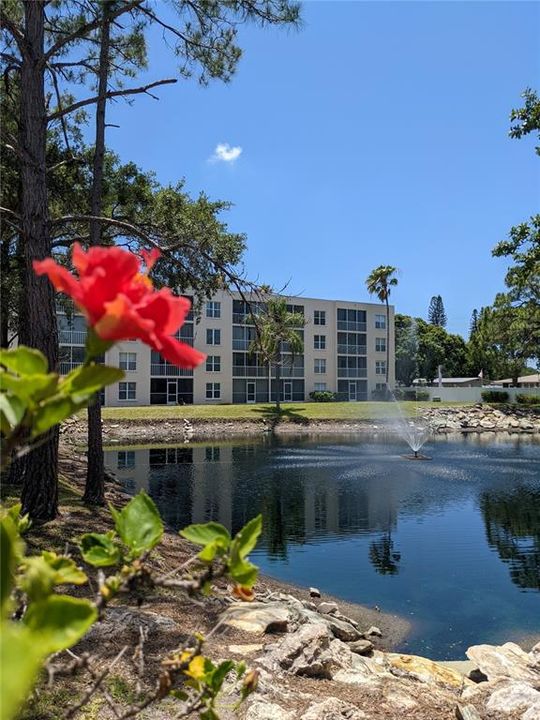 Pond view from sliders and windows in unit