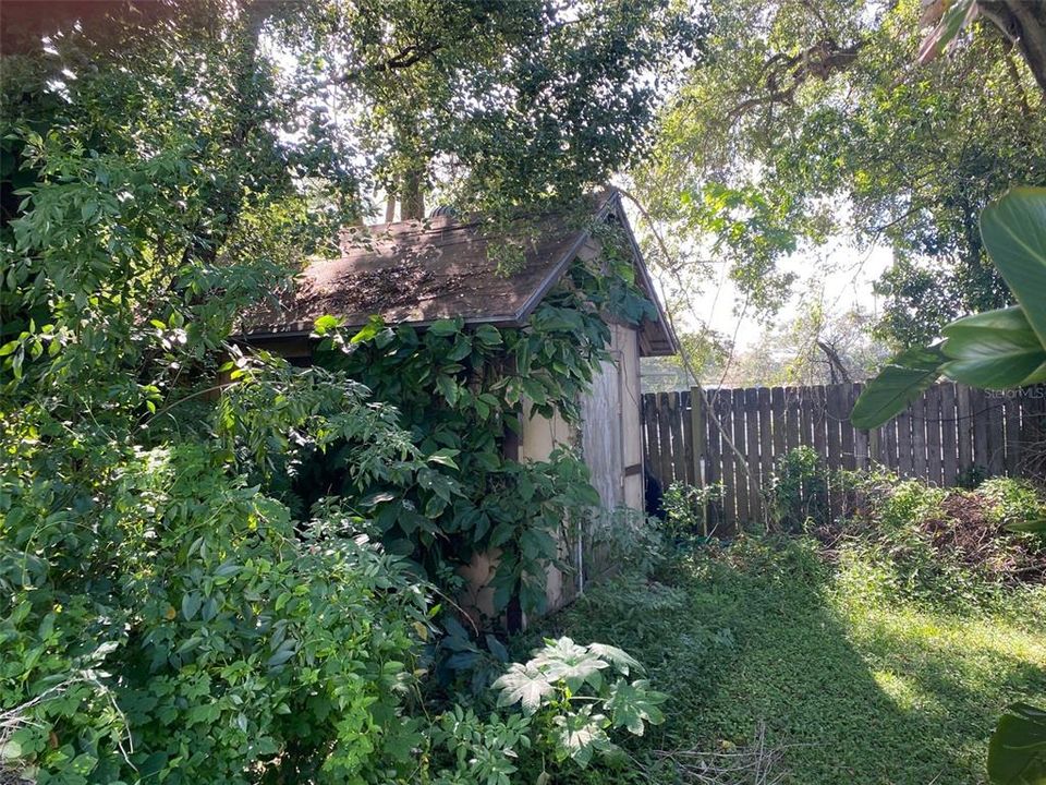 Shed at back of property