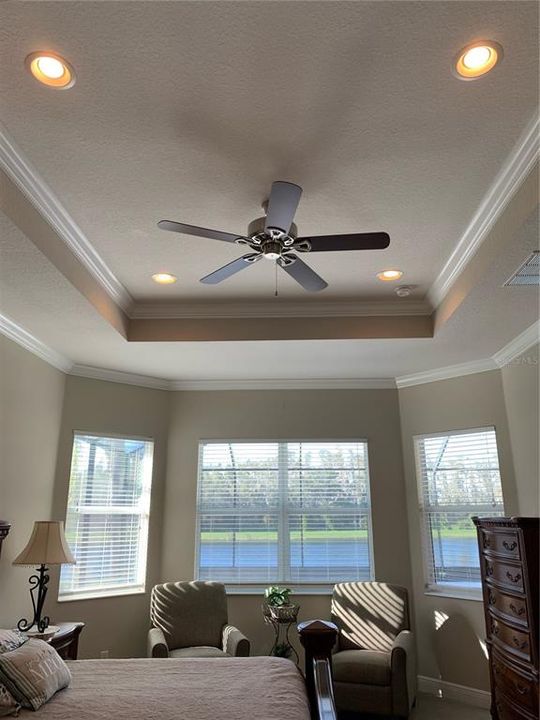 tray ceiling in master bedroom