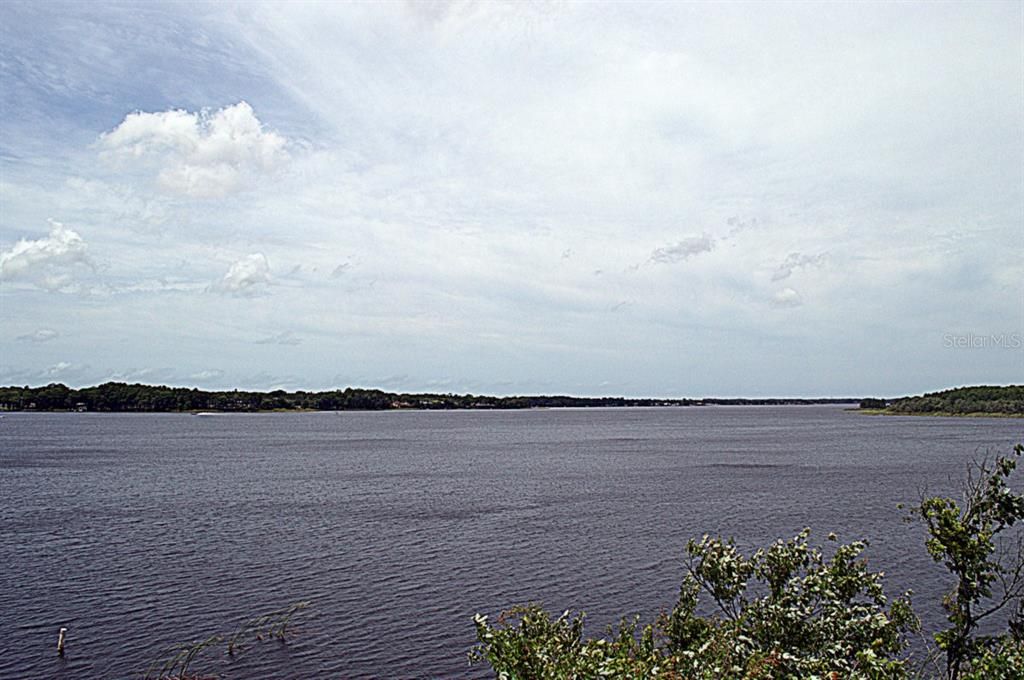 Spring-fed Lake Tarpon