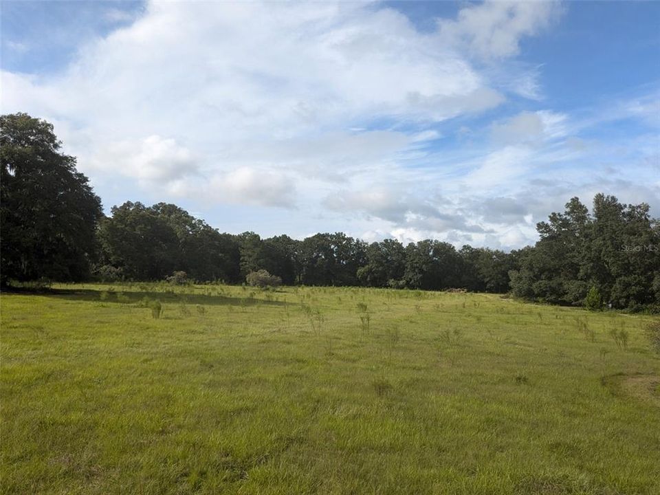 For Sale: $225,000 (10.91 acres)