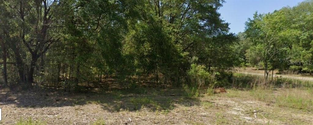 For Sale: $24,000 (0.39 acres)