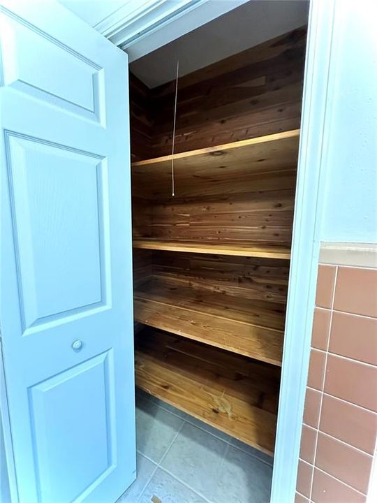 Large Cedar Lined Closet in Guest Bathroom