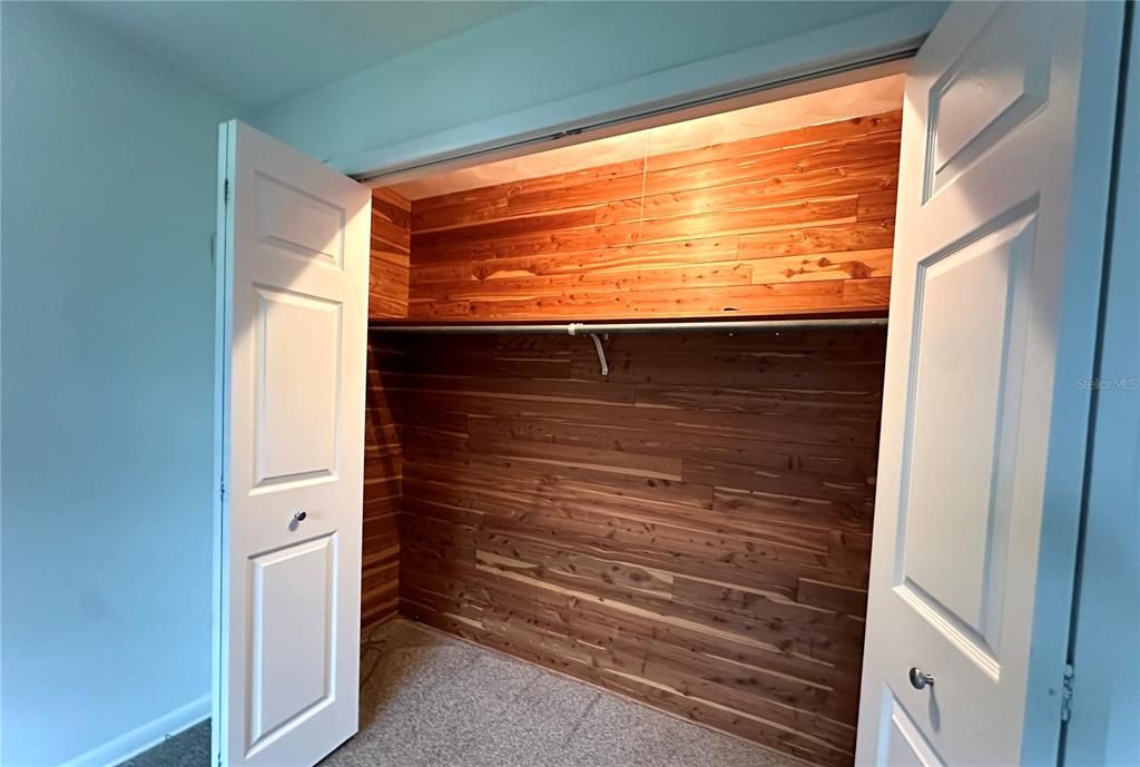 Large Cedar Lined Closet in Main Bedroom