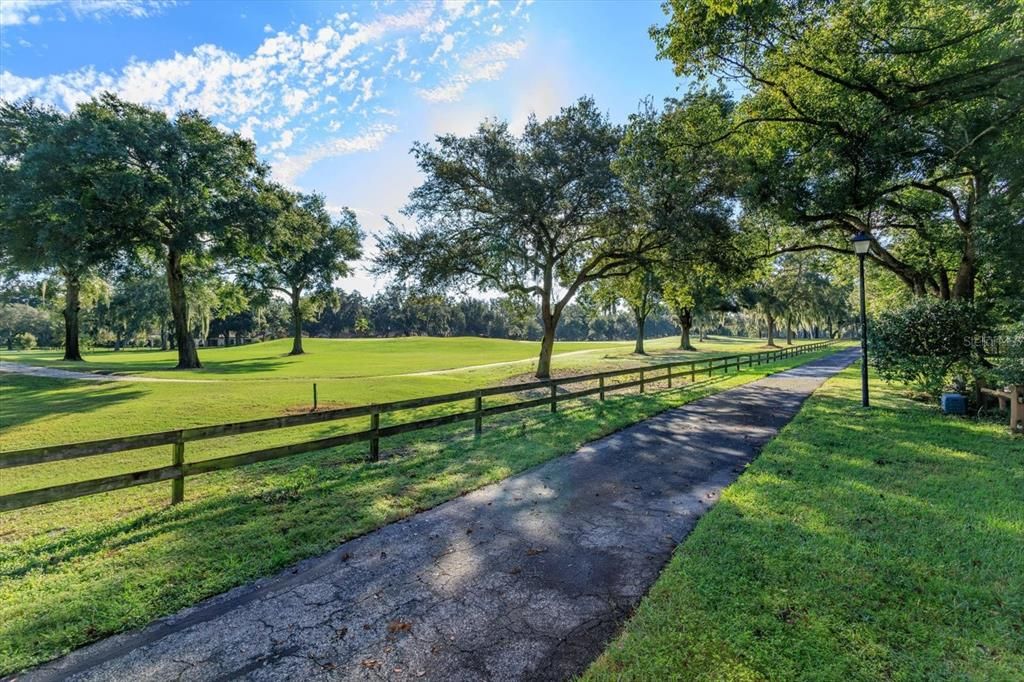 Views from Back Yard - Community Walking Path