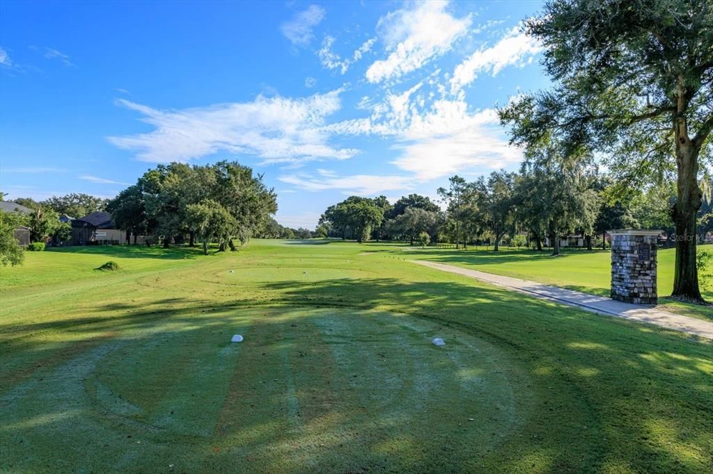 Views from Back Yard - 8th Tee Box