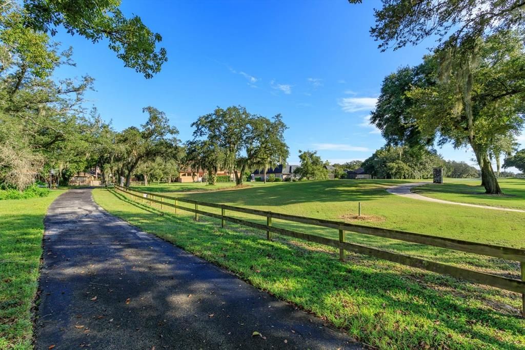 Views from Back Yard - Community Walking Path