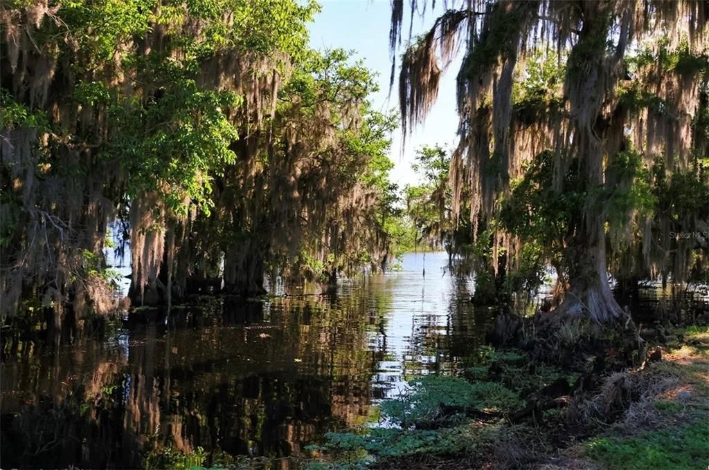 待售: $180,000 (0.09 acres)