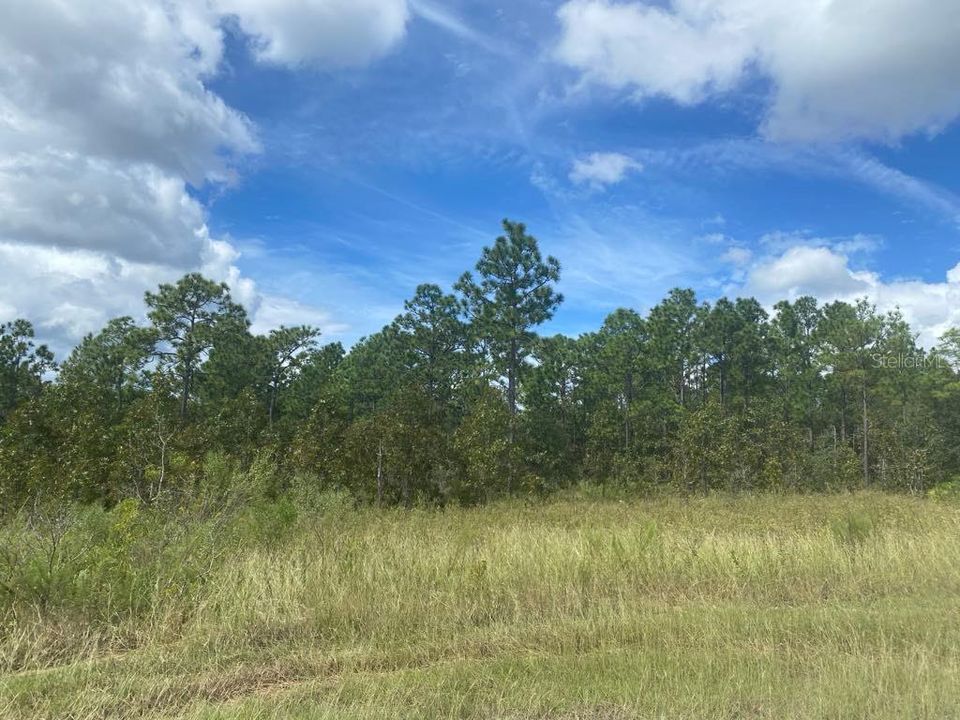 Recently Sold: $34,500 (0.46 acres)