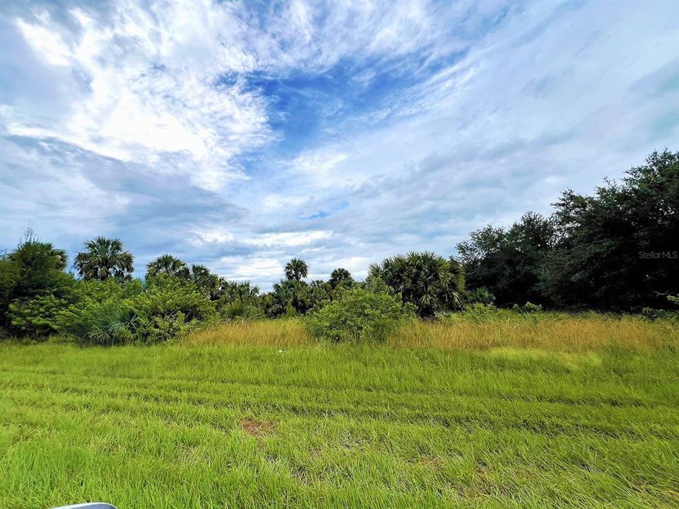 En Venta: $100,000 (0.92 acres)