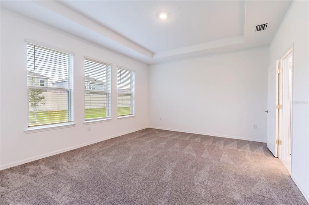 Primary Bedroom, Tray Ceiling