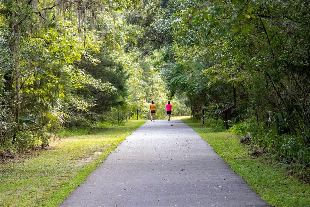 Blue Run Trail