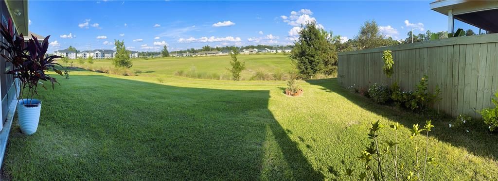 Backyard and open field area