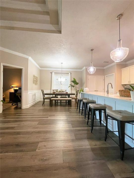 Kitchen counter & Dining room view