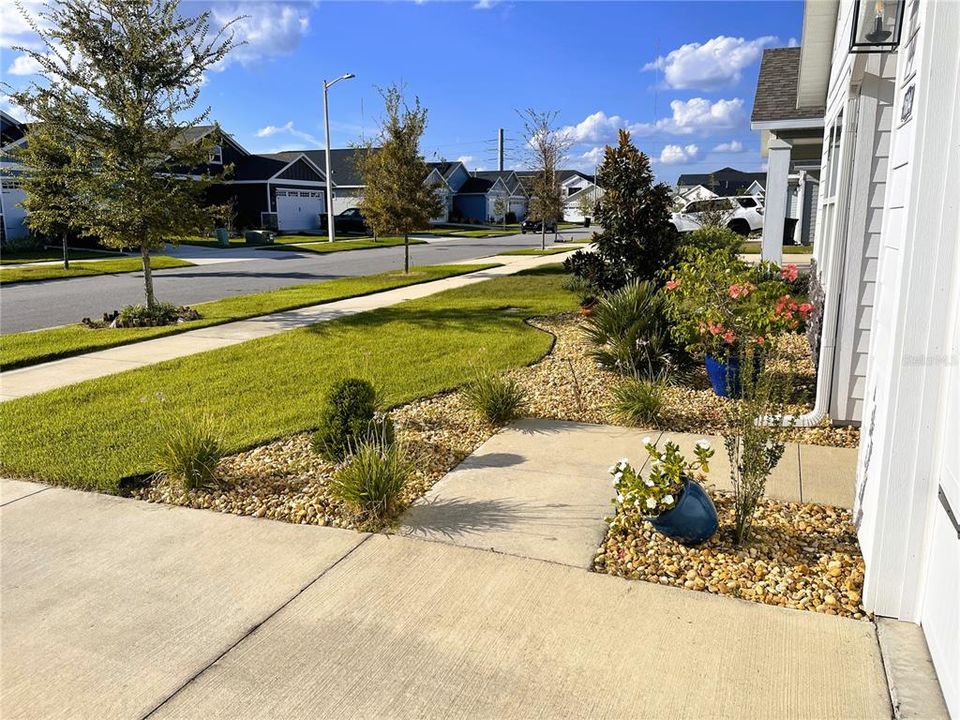 Landscaped front