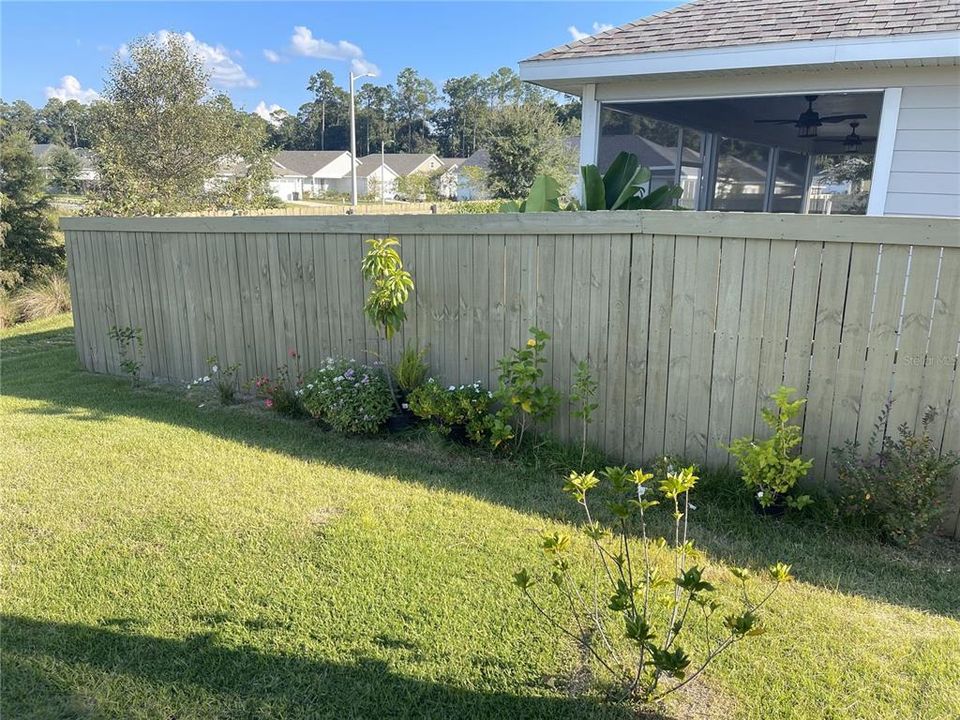 North side of the back/side yard