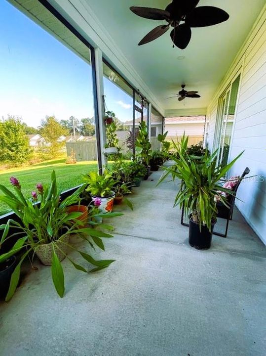 Screened Porch/Lanai