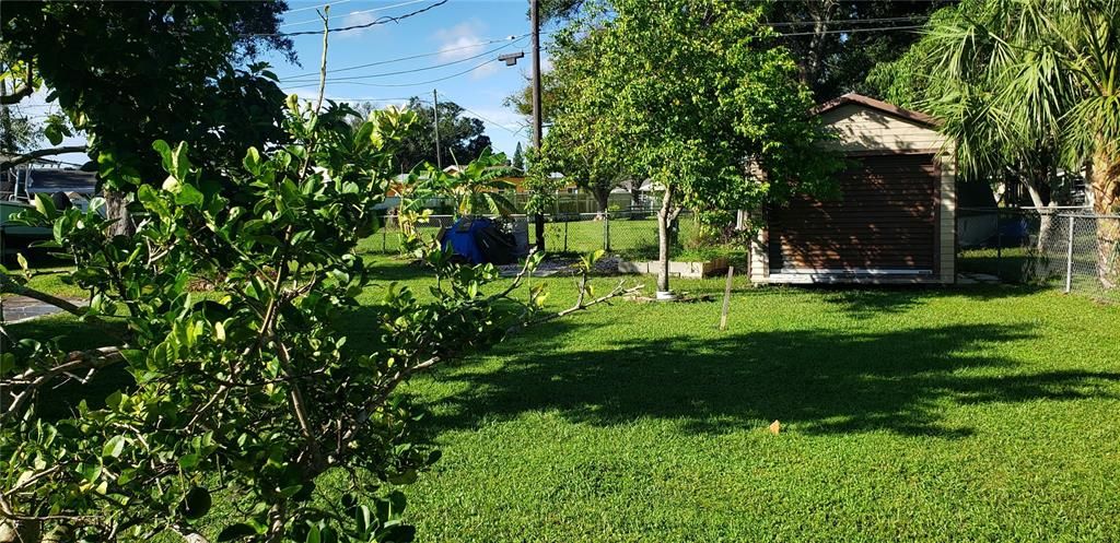 Backyard with storage shed