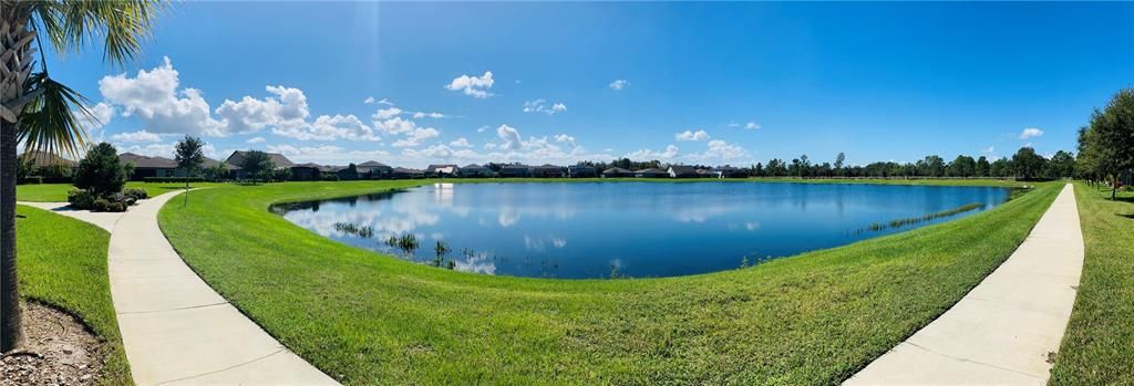 Pond Behind Pool